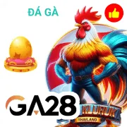 du88 Game 08